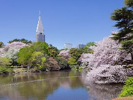Shinjuku Gyoen