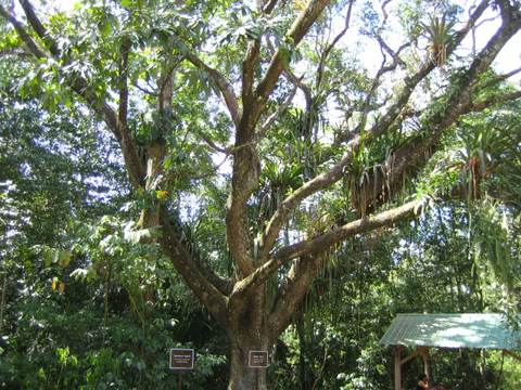 Guanacaste National Park