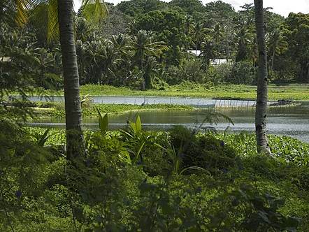 Buada Lagoon